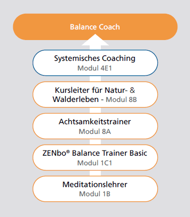 Ausbildungsübersicht Balance Coach