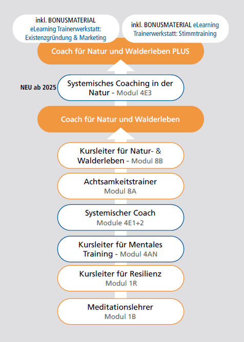 Ausbildungsübersicht Coach für Natur Walderleben