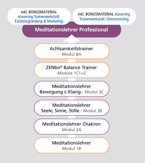 Ausbildungsübersicht Meditationslehrer Professional