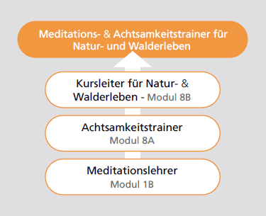 natur walderleben meditation achtsamkeit